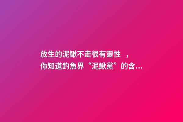 放生的泥鰍不走很有靈性，你知道釣魚界“泥鰍黨”的含義嗎